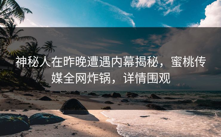 神秘人在昨晚遭遇内幕揭秘，蜜桃传媒全网炸锅，详情围观
