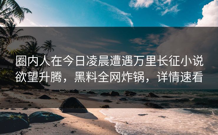 圈内人在今日凌晨遭遇万里长征小说欲望升腾，黑料全网炸锅，详情速看
