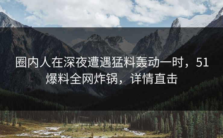 圈内人在深夜遭遇猛料轰动一时，51爆料全网炸锅，详情直击